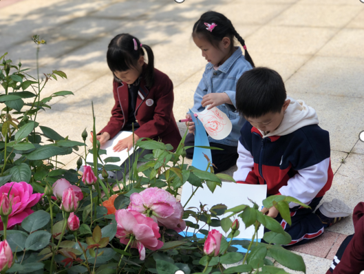 天元幼微课程丨花花世界