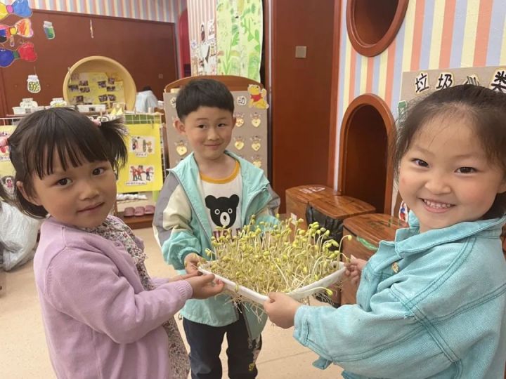天元幼微课程丨豆豆成长记——小一班项目活动分享