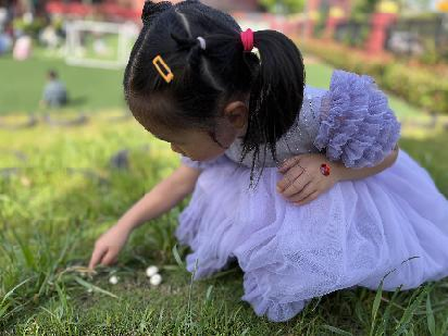 天元幼微课程丨“蘑”出我们的“菇”事——天元公学幼儿园蕙芽二班项目活动分享