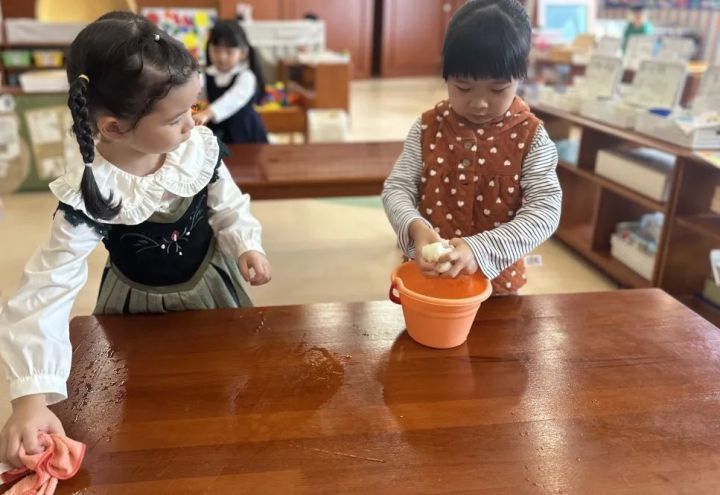 天元幼微课程丨劳动，不只是劳动——天元公学幼儿园蕙苗一班项目活动分享