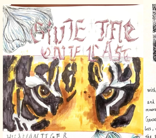 Love Animals, Love Nature——天元公学初中部举行七年级英语海报设计比赛