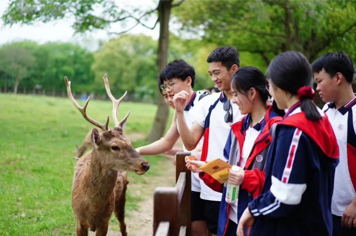 春风十里，不如“研”途有你丨天元公学高一、高二年级开展春季研学活动