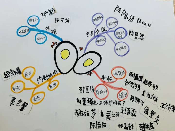 天元幼微课程丨鸡蛋撞地球——天元公学幼儿园大三班项目活动分享