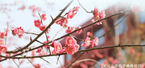 天元公学教学管理人员招聘公告