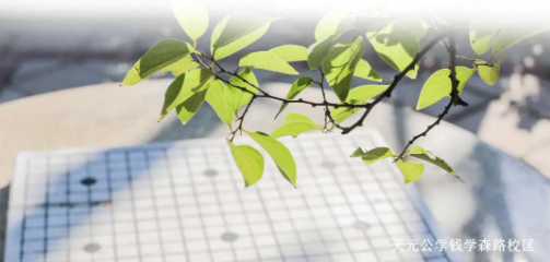 向下扎根，向上开花——天元公学音乐特色班2024年高考正式录取结果来了