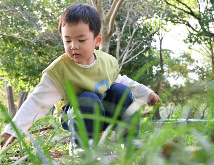 遇见秋天，我型我show——记天元公学西站校区幼儿园托小班落叶时装秀活动