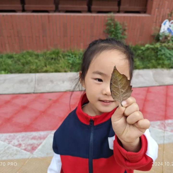 天元幼微课程｜遇见树叶——天元公学幼儿园蕙芽一班项目活动分享
