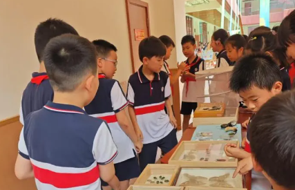 智创π对，数启未来！天元公学西站校区小学部第五届童创节精彩回顾