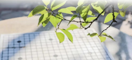 校党委开展2025年9月主题党日活动