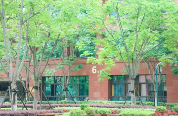 天元巡礼丨小学部办学成果展