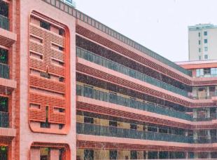 天元，下雪啦！雪很开心，我们也是！