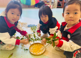 自然小玩家，万物皆可探