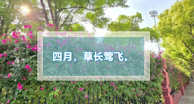 翻开书，让春天“跨时空投递”｜4·23世界读书日特别策划