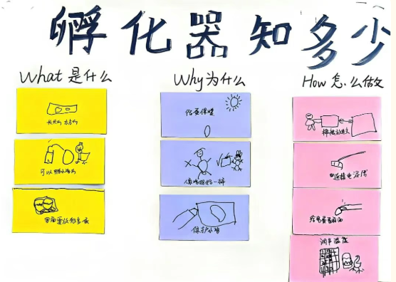 幼儿园孵小鸡不稀奇，稀奇的是后面发生的这件事