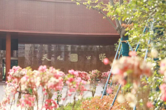 天元公学在余杭区艺术节中喜获佳绩