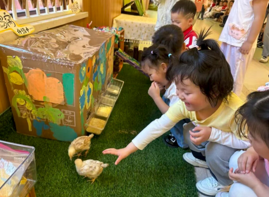 谁的节气课堂这么有趣？小班小小探索家上线啦！