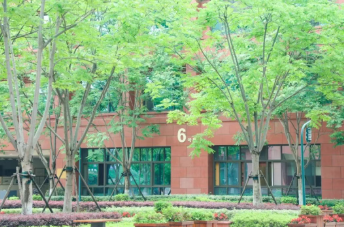 天元巡礼丨小学部办学成果展：从天元公学起步，追寻你的星光